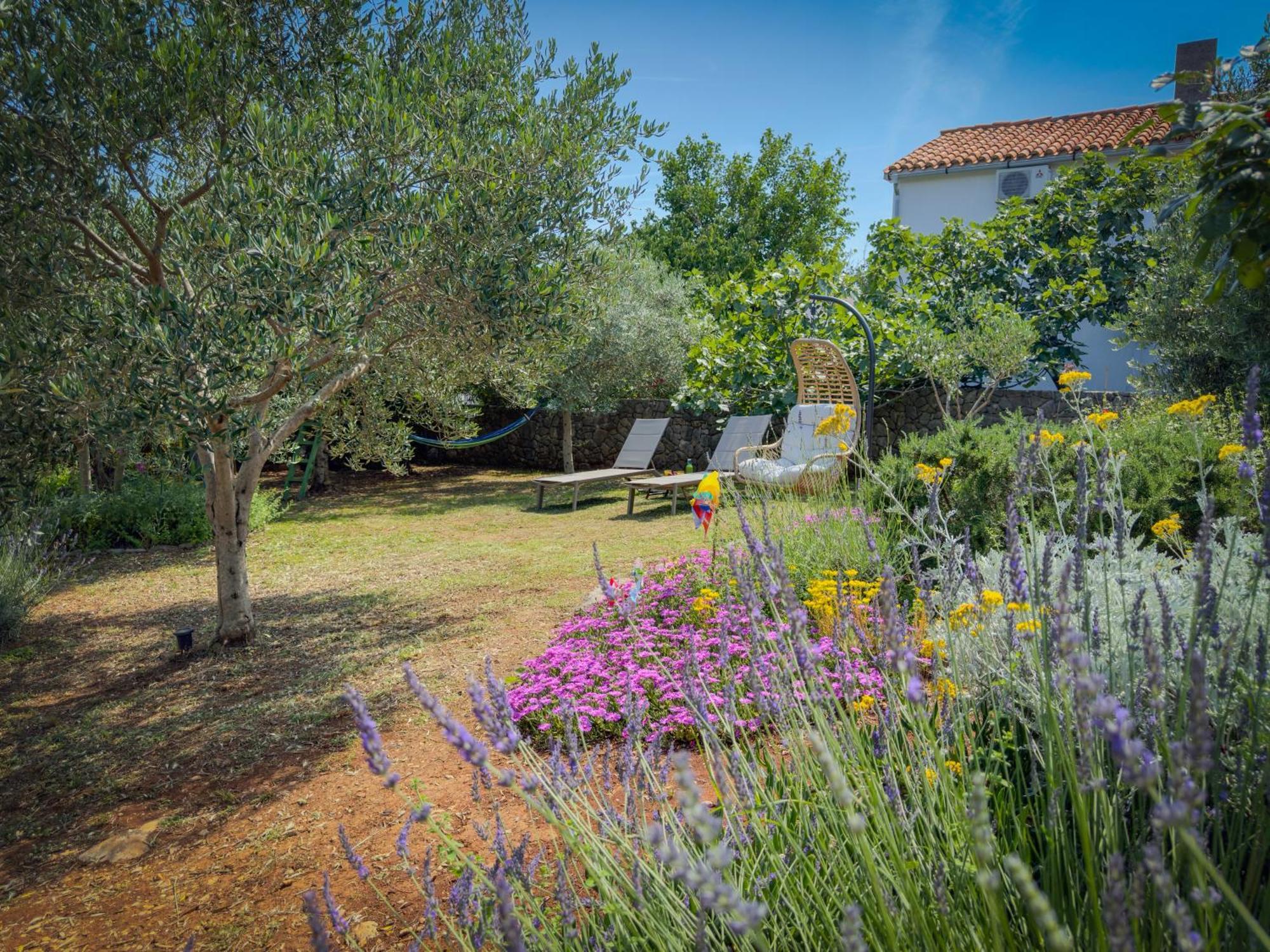 Holiday Home Lavanda Kornić 外观 照片