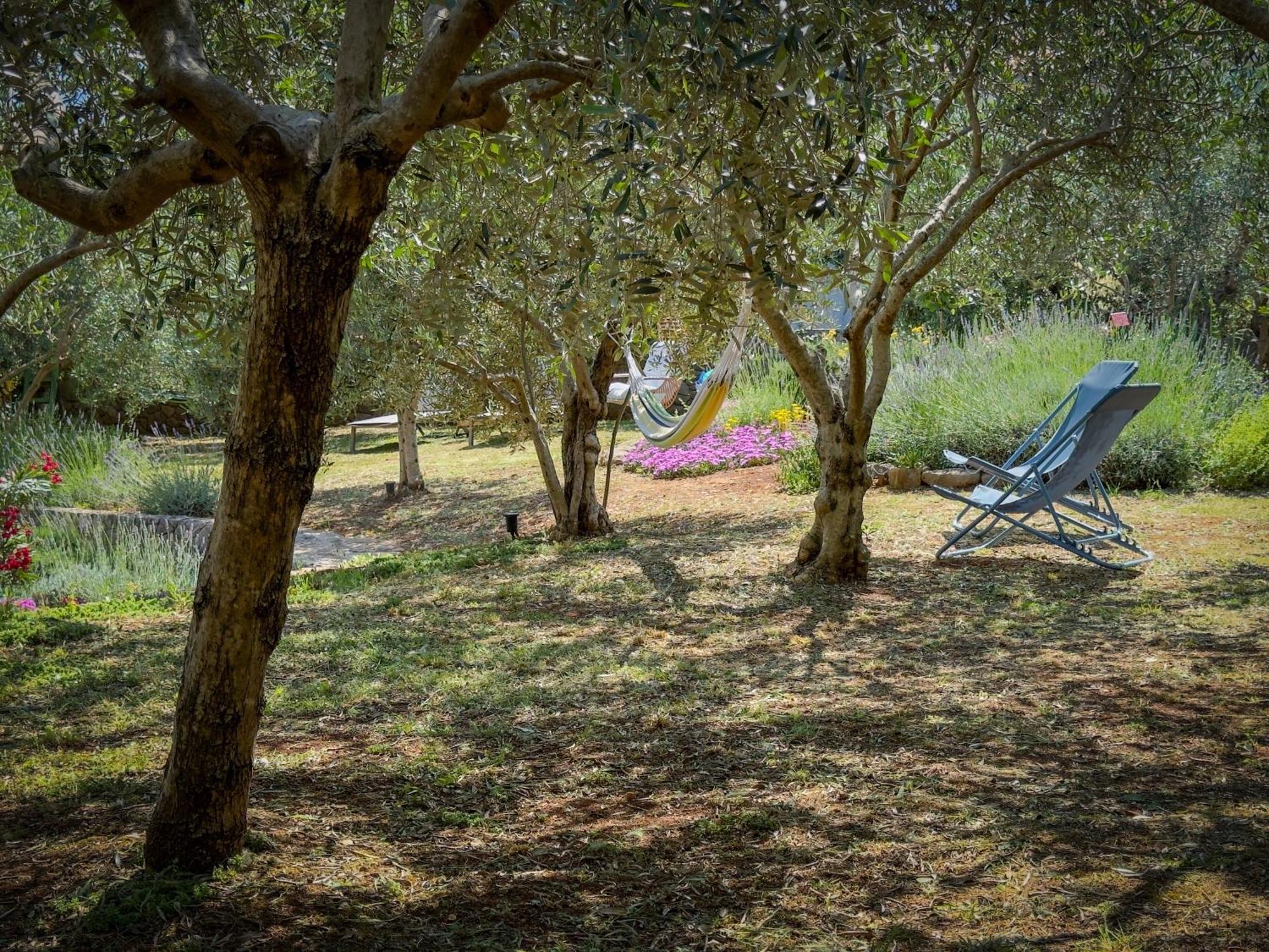 Holiday Home Lavanda Kornić 外观 照片